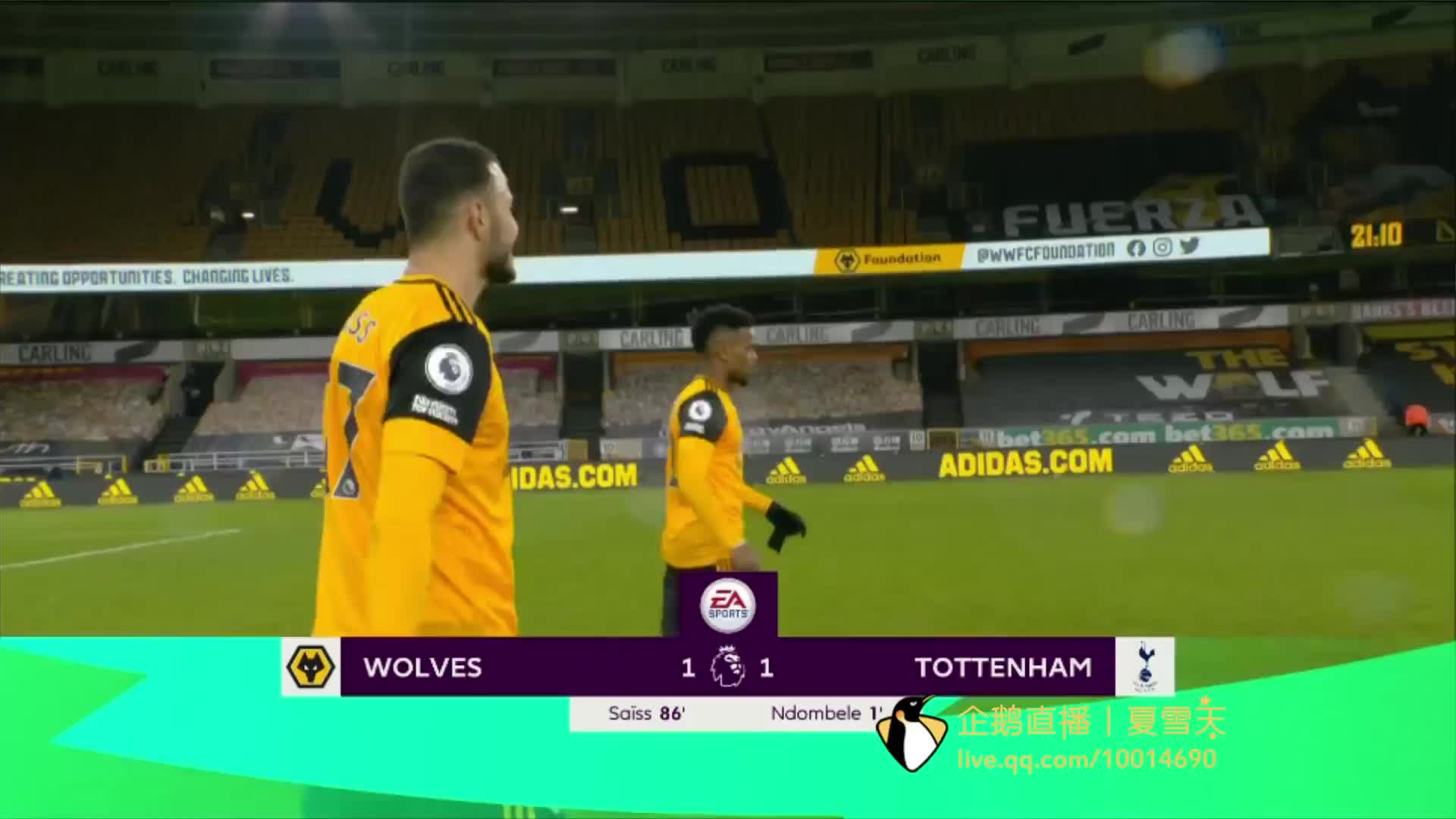 回顾博洛尼 回顾博洛尼